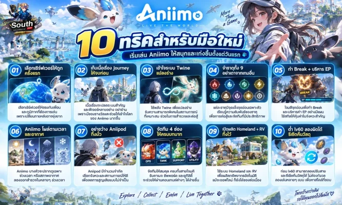10 เทคนิคเล่น Aniimo มือใหม่ต้องรู้ ก่อนเริ่มเล่นจะได้ไม่เสียเวลา