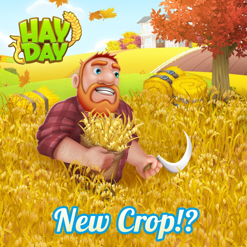 HAY DAY (ID PASS)