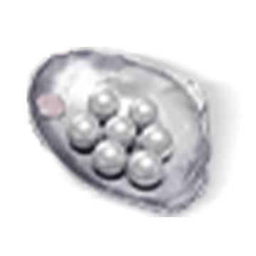 900 Echo Beads