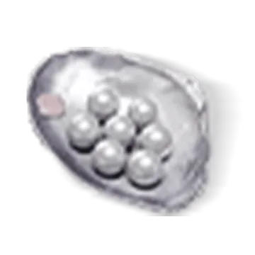 900 Echo Beads