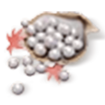 6000 Echo Beads