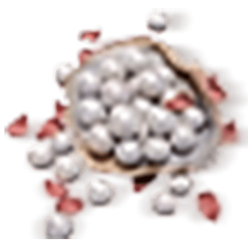 12000 Echo Beads