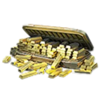 5000+800 Gold