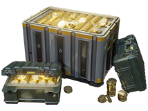 8100 coin