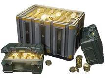 8100 coin